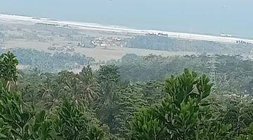 Gambar 4 Dijual Cepat Tanah Perkebunan di Bayah Lebak Banten 