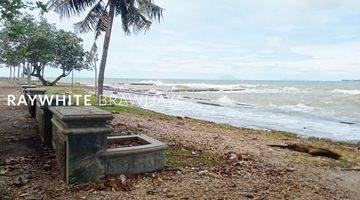 Gambar 1 Tanah Strategis Pinggir Pantai Anyer