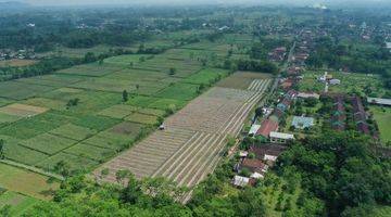 Gambar 2 Tanah 2,4 Hektar di Lumajang Cocok Untuk Komersil