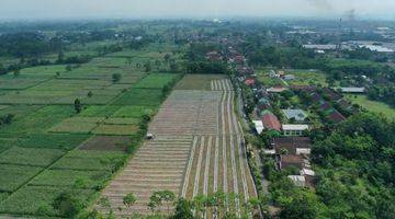 Gambar 1 Tanah 2,4 Hektar di Lumajang Cocok Untuk Komersil