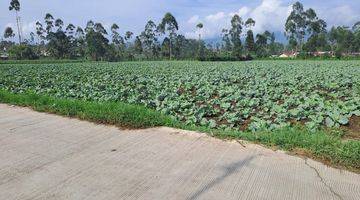 Gambar 4 Tanah Padat 3,5Ha Harga Menarik Di Pangalengan Bandung 