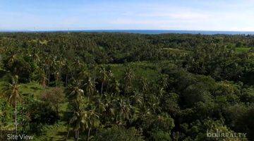 Gambar 2 Prime Investment Potential 2,5 Hectare For Glamping Business With Scenic Views Near Balian Beach, Tabanan 2575 L