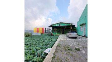 Gambar 1 Tempat Usaha di Batur Dieng Wonosobo Jawa Tengah