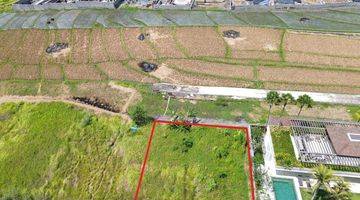 Gambar 3 Tanah pantai seseh mengwi