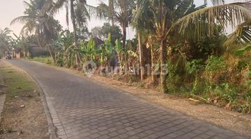 Gambar 1 Tanah View Sawah Nyambu Kediri Tabanan