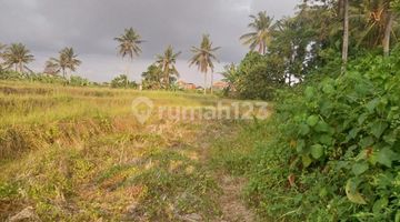 Gambar 5 Tanah View Sawah Nyambu Kediri Tabanan