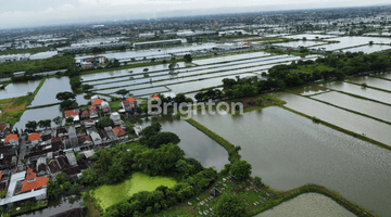 Gambar 3 TANAH TAMBAK PRODUKTIF LOKASI CERME GRESIK !!