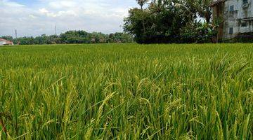 Gambar 4 Tanah berbetuk sawah cocok untuk investasi di area ciparay kabupaten Bandung 