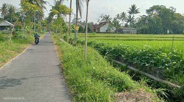 Gambar 1 Tanah Area Kuliner Jalan Kaliurang 