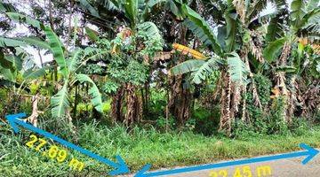 foto lainnya tanah di gunung sindur bsd