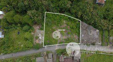 Gambar 1 1050 Sqm, Land