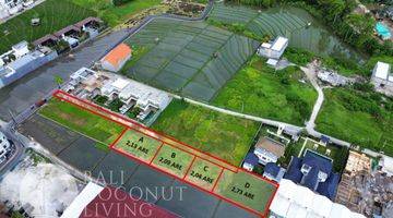 Gambar 3 Land In Berawa Area For Sale Freehold