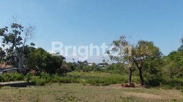 Gambar 3 LAHAN UKURAN KECIL DI PANTAI PERERENAN, CANGGU - BALI