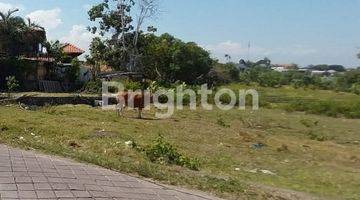 Gambar 1 LAHAN UKURAN KECIL DI PANTAI PERERENAN, CANGGU - BALI