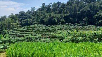 Gambar 3 di Kel. Cepoko gunung Pati Semarang Tanah 23000 SHM