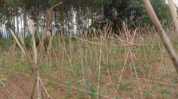 foto lainnya lahan daerah citatah padalarang lokasi