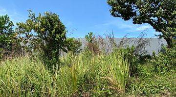 Gambar 2 Tanah Dengan View Menyejukkan Untuk Healing di Tanjungsari, Bogor