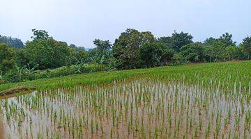 Gambar 4 Tanah Kebun Luas Nyaman Cocok Villa Di Cipicung Cijeruk Bogor