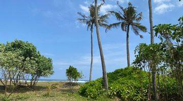 Gambar 3 Tanah di Kedungu SHM 10 Are 5 Menit Jalan Kaki Ke Pantai Belong