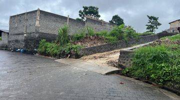 Gambar 1 Tanah Disewakan Untuk Villa di Buduk Mengwi Ricefield View