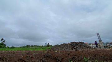 Gambar 3 Tanah Disewakan Untuk Villa di Buduk Mengwi Ricefield View