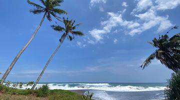 Gambar 4 Tanah di Kedungu SHM 10 Are 5 Menit Jalan Kaki Ke Pantai Belong