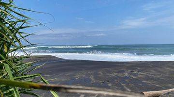 Gambar 5 Tanah di Kedungu SHM 10 Are 5 Menit Jalan Kaki Ke Pantai Belong