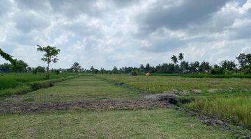 Gambar 3 Tanah di Kedungu Tabanan 5 Menit Jalan Kaki Ke Pantai Belong