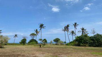 Gambar 2 Tanah di Kedungu SHM 10 Are 5 Menit Jalan Kaki Ke Pantai Belong