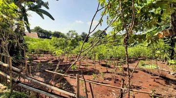 Gambar 3 Lahan di Cileungsi Gandoang Cibubur Bogor