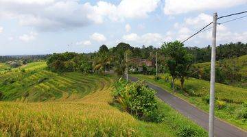 Gambar 3 Tanah Murah Selemadeg Tabanan View Sawah