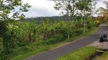 Gambar 5 Tanah Murah Selemadeg Tabanan View Sawah