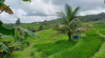 Gambar 1 Tanah Murah Selemadeg Tabanan View Sawah