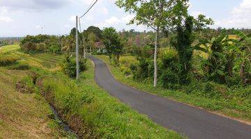 Gambar 4 Tanah Murah Selemadeg Tabanan View Sawah