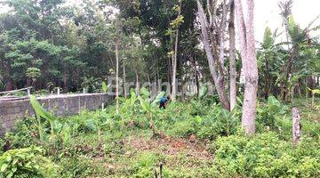 Gambar 2 tanah kavling  lokasi Dieng Atas Kalisongo Dau Malang