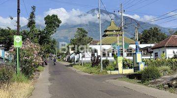 Gambar 1 TANAH KAVLING TURIREJO LAWANG