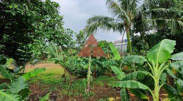 Gambar 5 Pondok Cabe, JL Kayu Putih Raya, Tanah Luas 