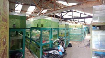 Gambar 3 Rumah Fish Farm di Kopo Katapang