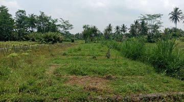 Gambar 2 Tanah View Merapi Area Persawahan Dijl Palagan Km 15 Barat Uii Jakal