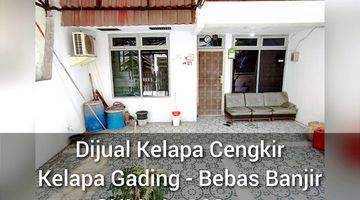 Gambar 1 Turun Harga Kelapa Cengkir Kelapa Gading SHM Bebas Banjir