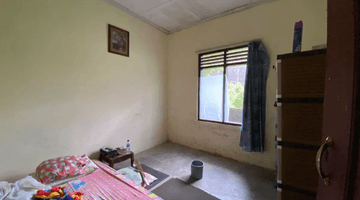 Gambar 3 Dijual Cepat Turun Harga Rumah Tinggal Murah di Area Perkebunan Secang, Sangat Asri.