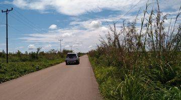 Gambar 1 Tanah cantik super strategis . Di kalimantan barat Tanah