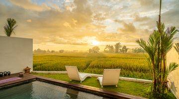 Gambar 1 Villa Luxury 2 Br Seseh Canggu Tropical Modern Style