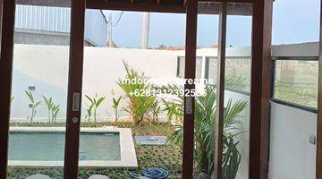 Gambar 2 Brand New 2 Br Villa In Seseh Rice Paddy View