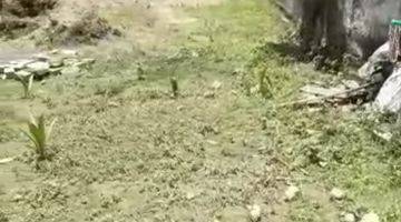 Gambar 4 Tanah di Sirkuit Mandalika Lombok