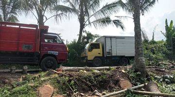 Gambar 3 Tanah SHM dijual pinggir jalan aspal sebelah pasar ngawonggo tajinan malang