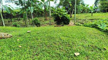 Gambar 5 Vila ada kebun durian dan cengkeh dekat tempat wisata