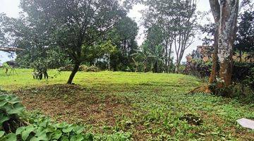 Gambar 3 Vila ada kebun durian dan cengkeh dekat tempat wisata