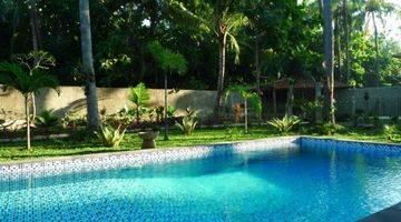 Gambar 4 GREAT LUXURY VILLA IN CENTRAL LOVINA