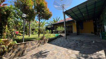 Gambar 1 House for sale near central Lovina